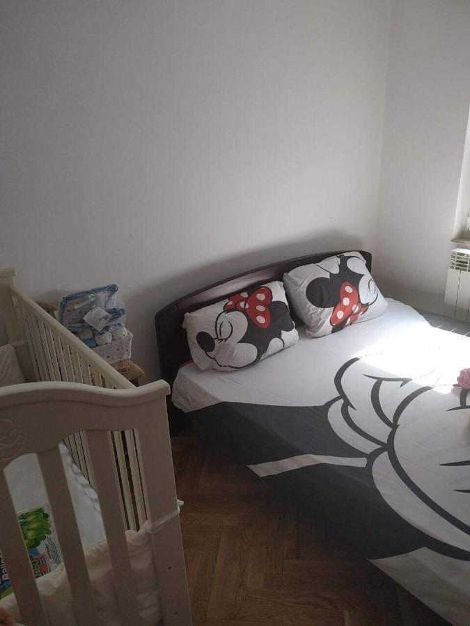 Nika Apartment เบลเกรด ภายนอก รูปภาพ