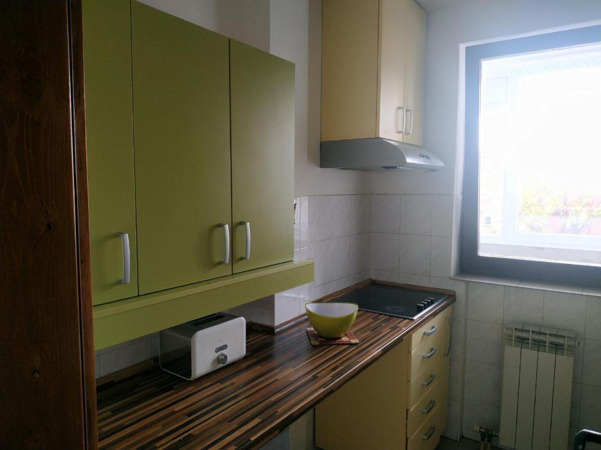 Nika Apartment เบลเกรด ภายนอก รูปภาพ